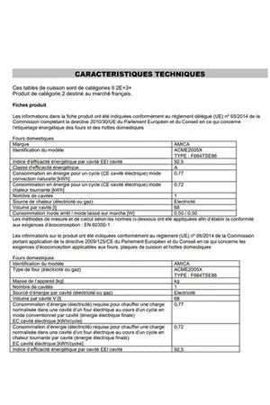 Gazinière Amica ACME2005X 60 cm Inox GAZ