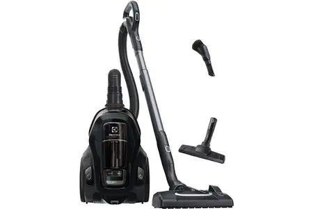 Aspirateur sans sac Electrolux PC91-GREEN