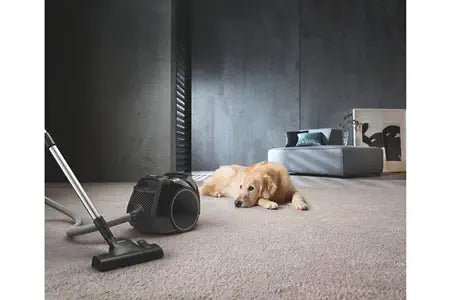 Aspirateur sans sac Miele BOOST CX1 CATETDOG